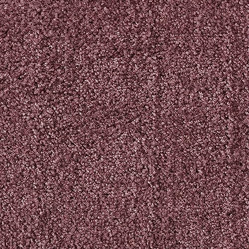 etm Robuste Schmutzfangmatte, Waschbar, Rutschfest, Hohe Reinigungswirkung für Zuhause & Gewerbed