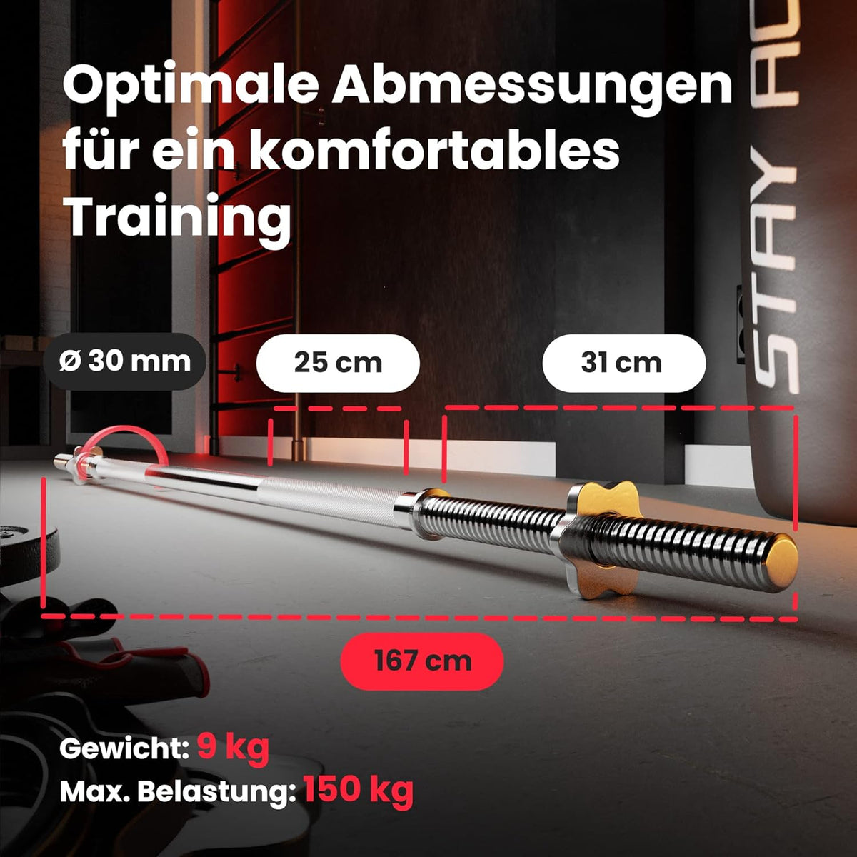 Klappbare Hantelbank mit Gewichten, Curlpult, Butterfly und Beincurler.l